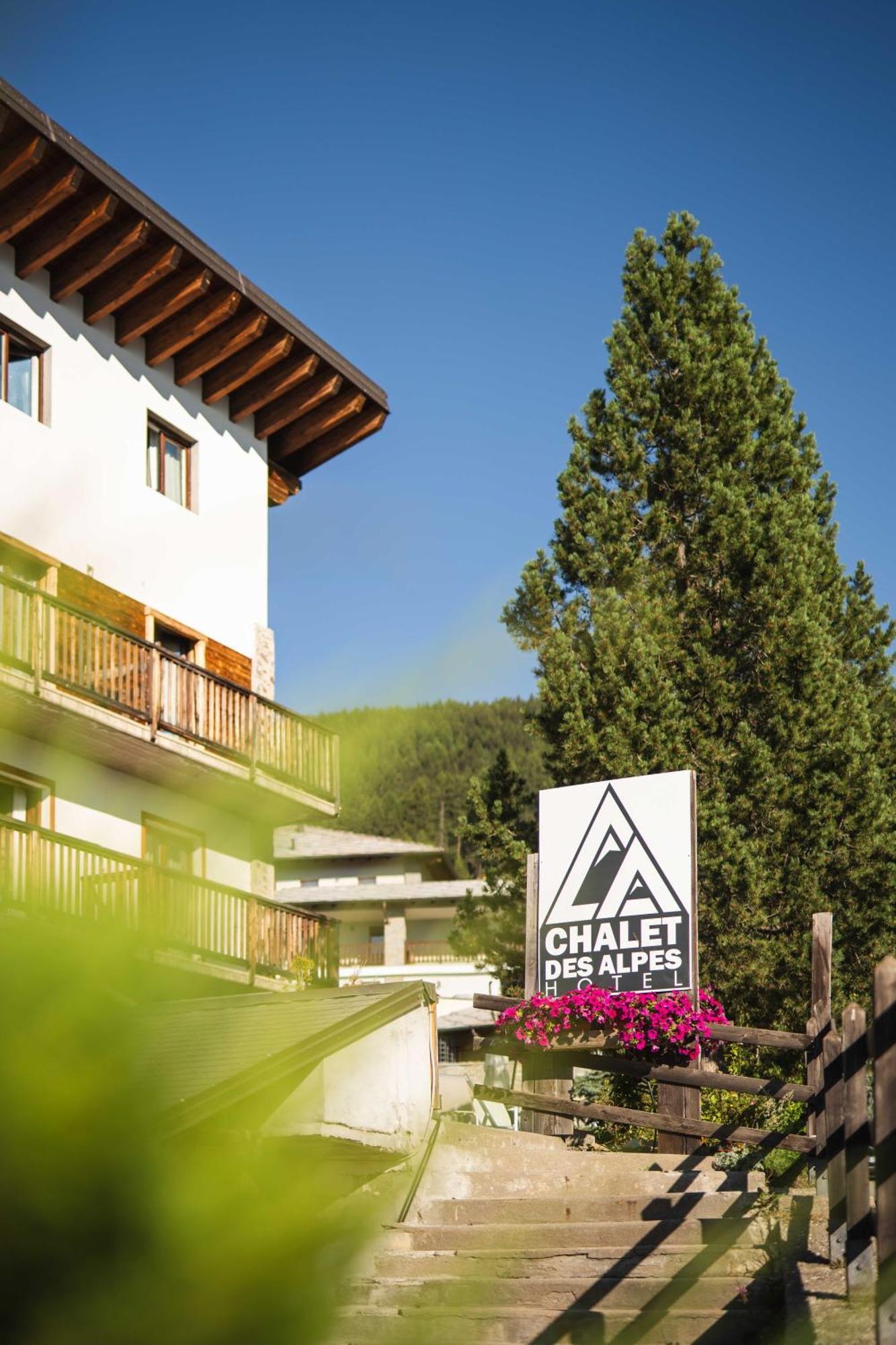Chalet Des Alpes グレッサーン エクステリア 写真
